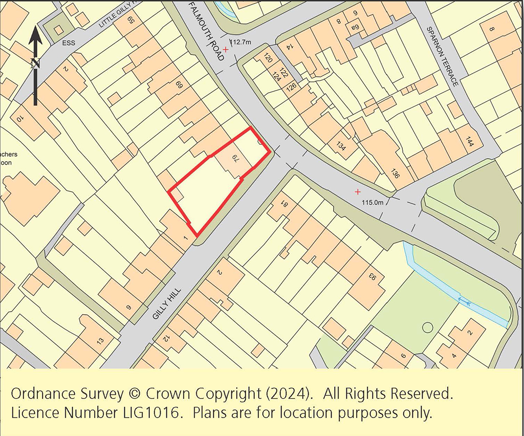 Lot: 124 - FREEHOLD HOUSE WITH LARGE GARDEN -